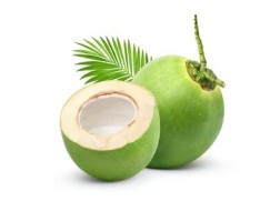 Tender Coconut