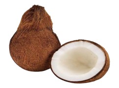 Coconut