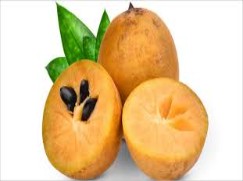 Sapota