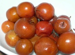 Jujuba Fruit