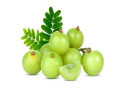 Gooseberry