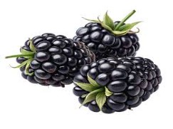 Blackberries
