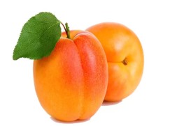 Apricots