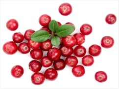 Cranberries