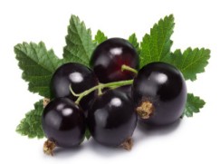 Black currants