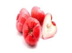 Java apple
