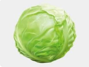 Cabbage