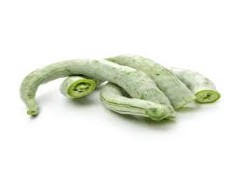 Snake Gourd