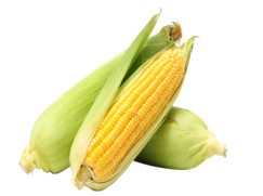 Sweet corn