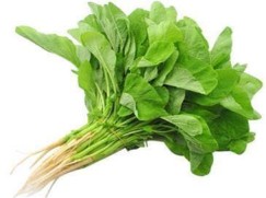 Thotakura (amaranth leaves)
