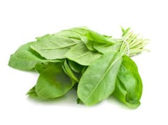 Chukka kura (Green Sorrel)