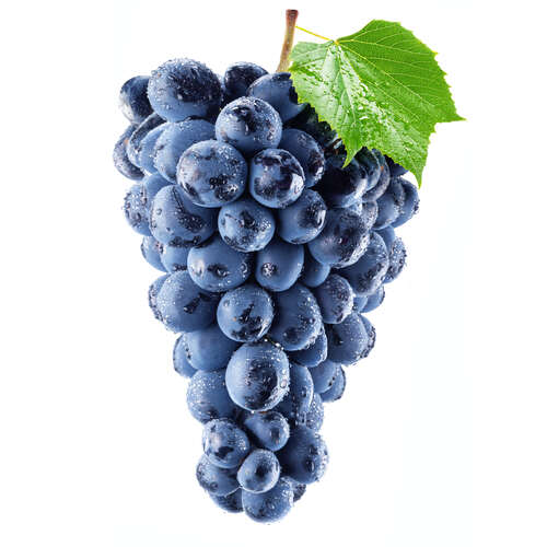 Purple Grapes