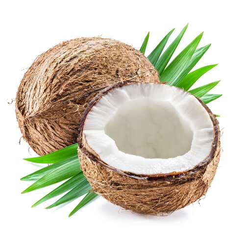 Coconut