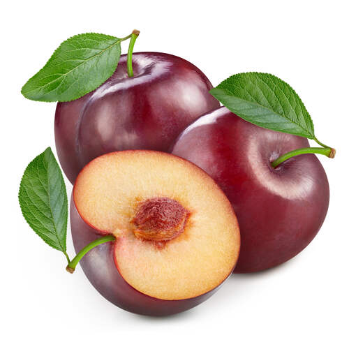 Plum