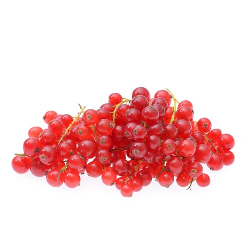 Red Currant