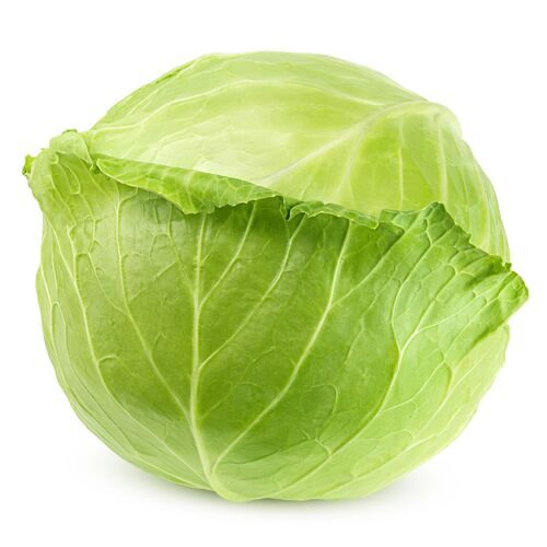 Cabbage