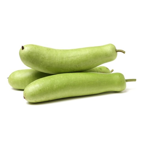 Bottle Gourd
