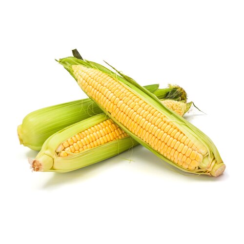 Sweet Corn