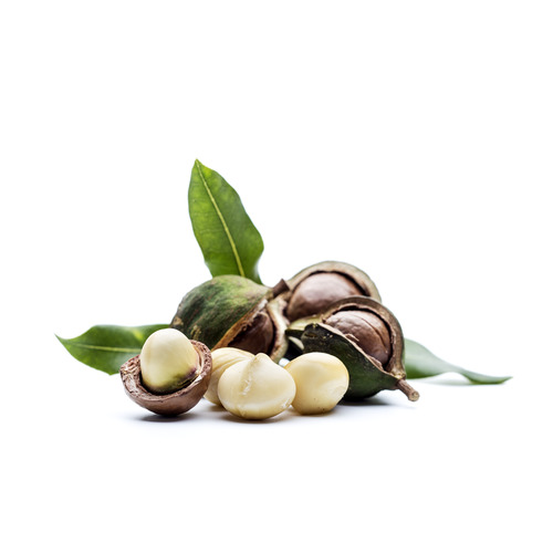 Macadamia Nuts
