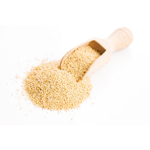 Foxtail Millet (Korra)