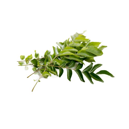 Karivepaku (Curry Leaves)
