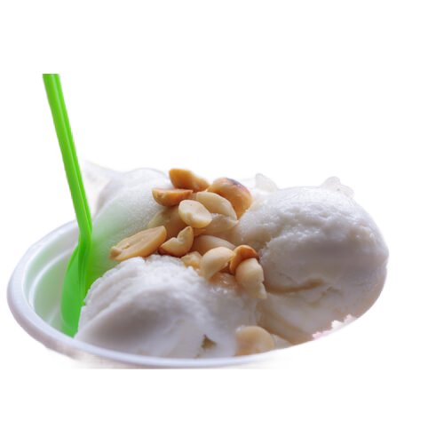 Vegan Rice Ice Cream