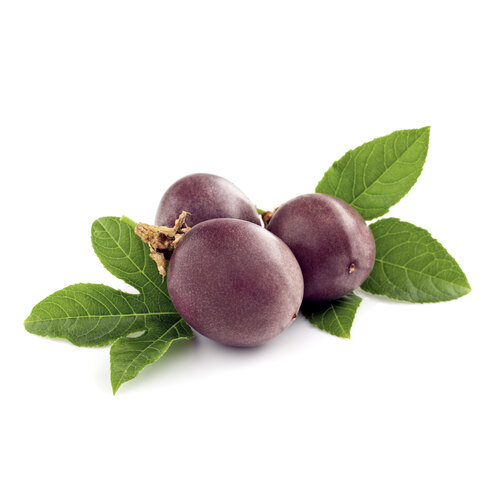 Passion Fruits