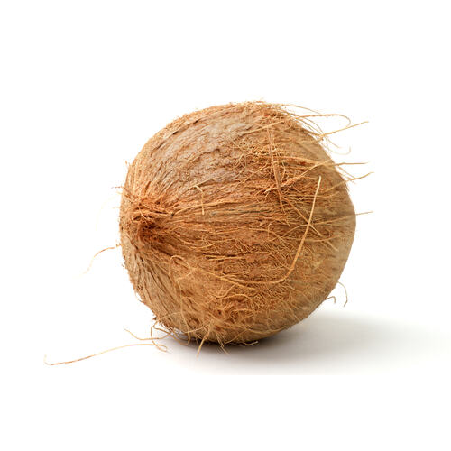 Coconut