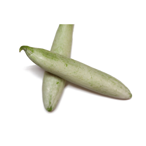 Snake Gourd
