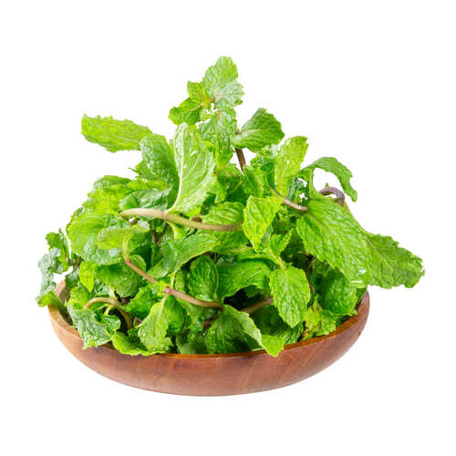 Mint Leaves (Pudina)